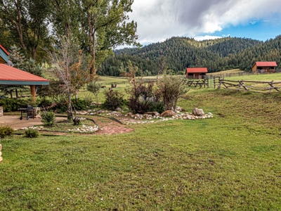 Premier Ranch Property For Auction in Southwestern Colorado - image 31