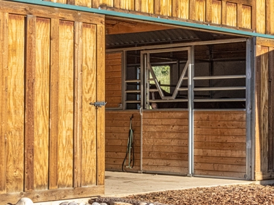 Premier Ranch Property For Auction in Southwestern Colorado - image 43