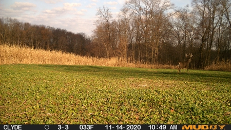Sauk County WI Multi-Parcel Real Estate Auction Live Auction - image 11