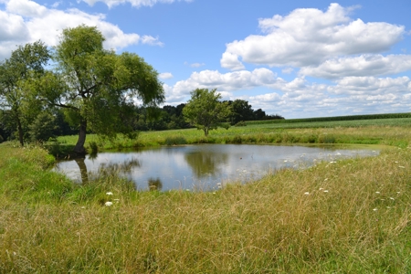 Sauk County WI Multi-Parcel Real Estate Auction Live Auction - image 46