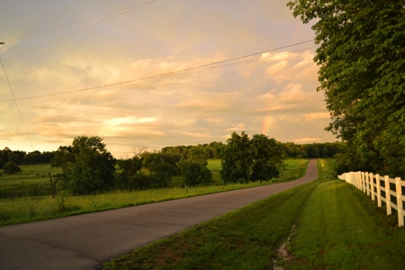 Sauk County WI Multi-Parcel Real Estate Auction Live Auction - image 45