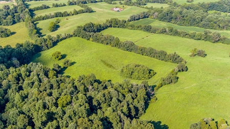 Absolute Auction - Saturday September 24th, - Home & Acreage - image 10