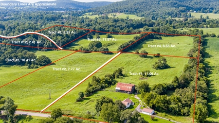 Absolute Auction - Saturday September 24th, - Home & Acreage - image 31