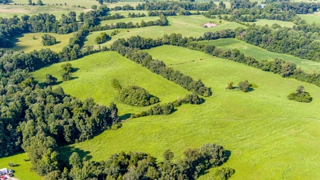 Absolute Auction - Saturday September 24th, - Home & Acreage - image 22