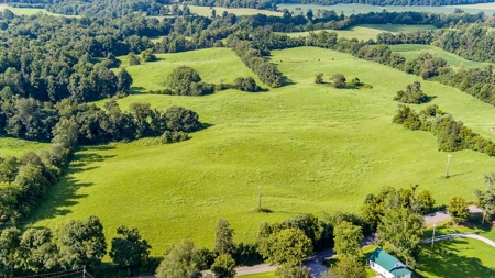 Absolute Auction - Saturday September 24th, - Home & Acreage - image 20