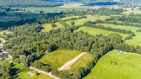 Absolute Auction - Saturday September 24th, - Home & Acreage - image 17