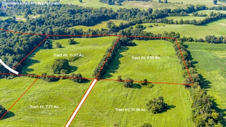 Absolute Auction - Saturday September 24th, - Home & Acreage - image 24
