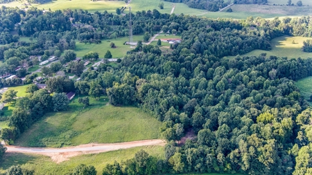 Absolute Auction - Saturday September 24th, - Home & Acreage - image 9