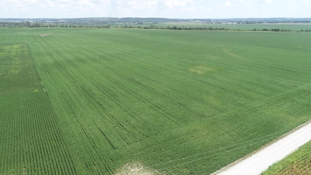 Ray County Missouri Land Auction Tract 1 of 3 - image 7