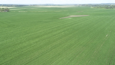 Ray County Missouri Land Auction Tract 1 of 3 - image 17
