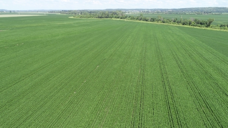 Ray County Missouri Land Auction Tract 1 of 3 - image 11