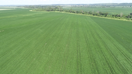 Ray County Missouri Land Auction Tract 1 of 3 - image 15