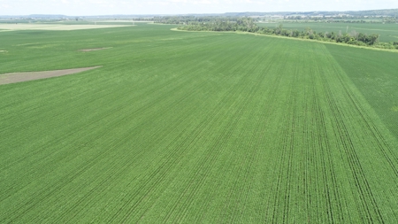 Ray County Missouri Land Auction Tract 1 of 3 - image 16