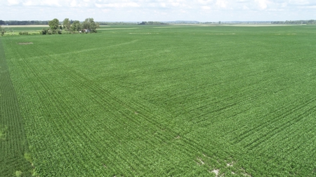 Ray County Missouri Land Auction Tract 1 of 3 - image 10