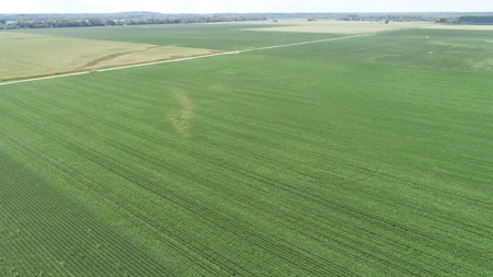Ray County Missouri Land Auction Tract 1 of 3 - image 18