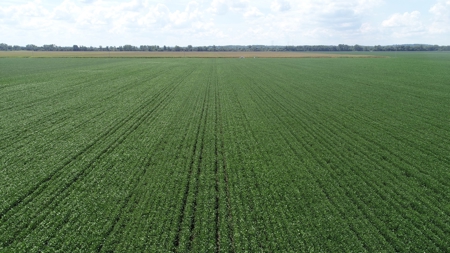 Ray County Missouri Land Auction Tract 1 of 3 - image 21