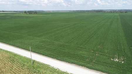 Ray County Missouri Land Auction Tract 1 of 3 - image 6
