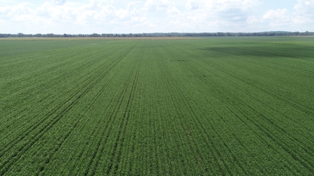 Ray County Missouri Land Auction Tract 1 of 3 - image 20