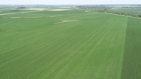 Ray County Missouri Land Auction Tract 1 of 3 - image 14
