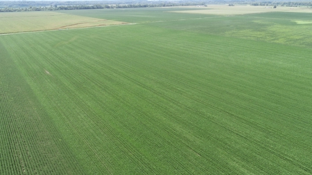 Ray County Missouri Land Auction Tract 1 of 3 - image 19