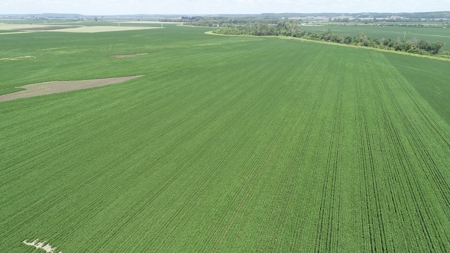 Ray County Missouri Land Auction Tract 1 of 3 - image 13