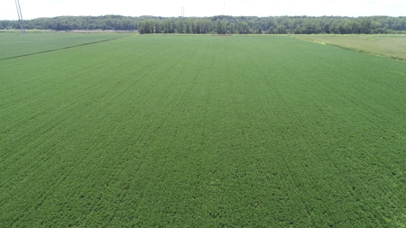Ray County Land Auction, Tract 3 of 3 - image 13