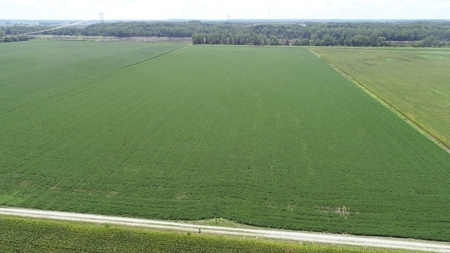 Ray County Land Auction, Tract 3 of 3 - image 15