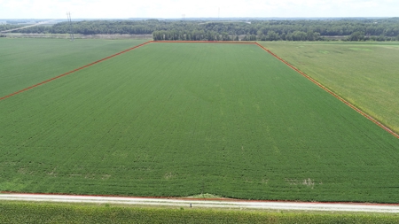 Ray County Land Auction, Tract 3 of 3 - image 17