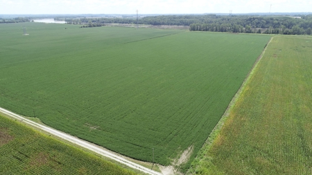 Ray County Land Auction, Tract 3 of 3 - image 16