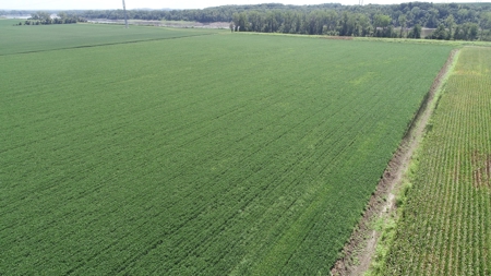 Ray County Land Auction, Tract 3 of 3 - image 8