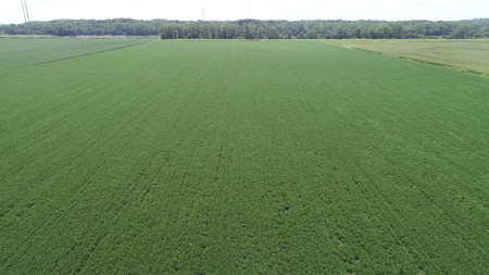 Ray County Land Auction, Tract 3 of 3 - image 12