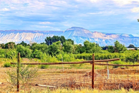 Grand Junction Auction Property 3 Beds, 2 Baths, Large Lot - image 23