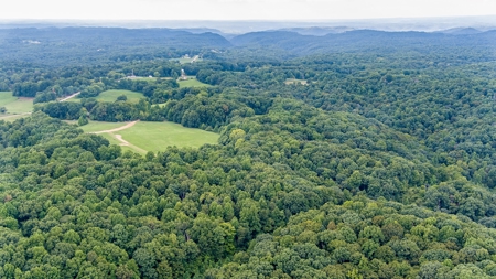 Absolute Auction   Saturday October 29th   Land & Timber - image 22