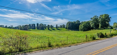Absolute Auction   Saturday October 29th   Land & Timber - image 27