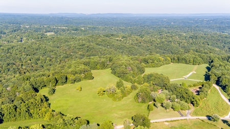 Absolute Auction   Saturday October 29th   Land & Timber - image 32