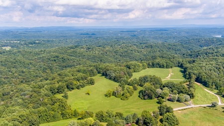 Absolute Auction   Saturday October 29th   Land & Timber - image 15