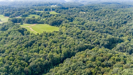 Absolute Auction   Saturday October 29th   Land & Timber - image 18