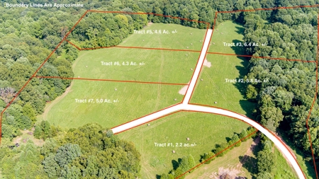 Absolute Auction   Saturday October 29th   Land & Timber - image 47