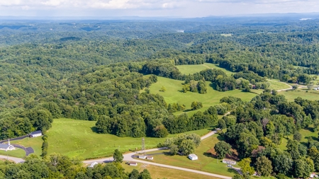 Absolute Auction   Saturday October 29th   Land & Timber - image 16