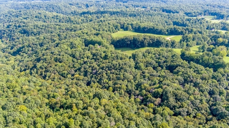 Absolute Auction   Saturday October 29th   Land & Timber - image 20