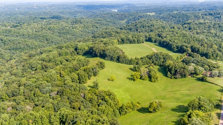 Absolute Auction   Saturday October 29th   Land & Timber - image 19