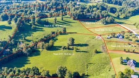 Absolute Auction   Saturday October 29th   Land & Timber - image 43