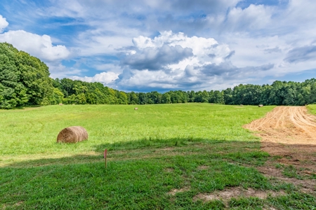 Absolute Auction   Saturday October 29th   Land & Timber - image 12