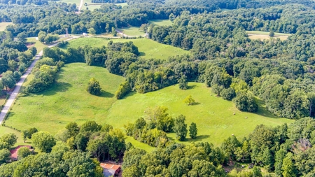 Absolute Auction   Saturday October 29th   Land & Timber - image 17