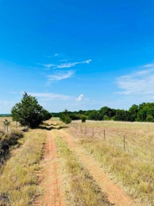 60 Acres With Pond - image 2
