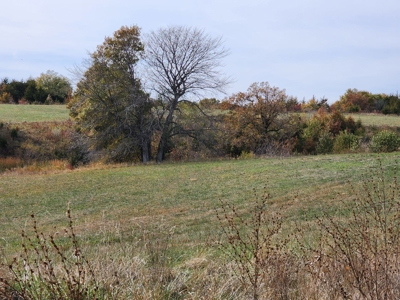 Land For Sale - image 14