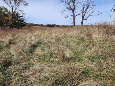 Land For Sale - image 13