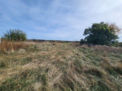 Land For Sale - image 3