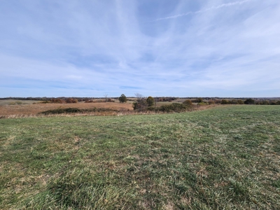 Land For Sale - image 5