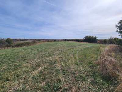 Land For Sale - image 4